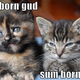 Image for article titled The First-Ever Cat Convention Pretty Much Broke the Internets